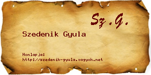 Szedenik Gyula névjegykártya